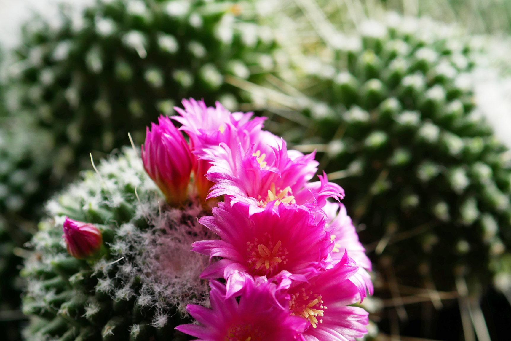 One core strategy that can help you and your team to flourish and thrive